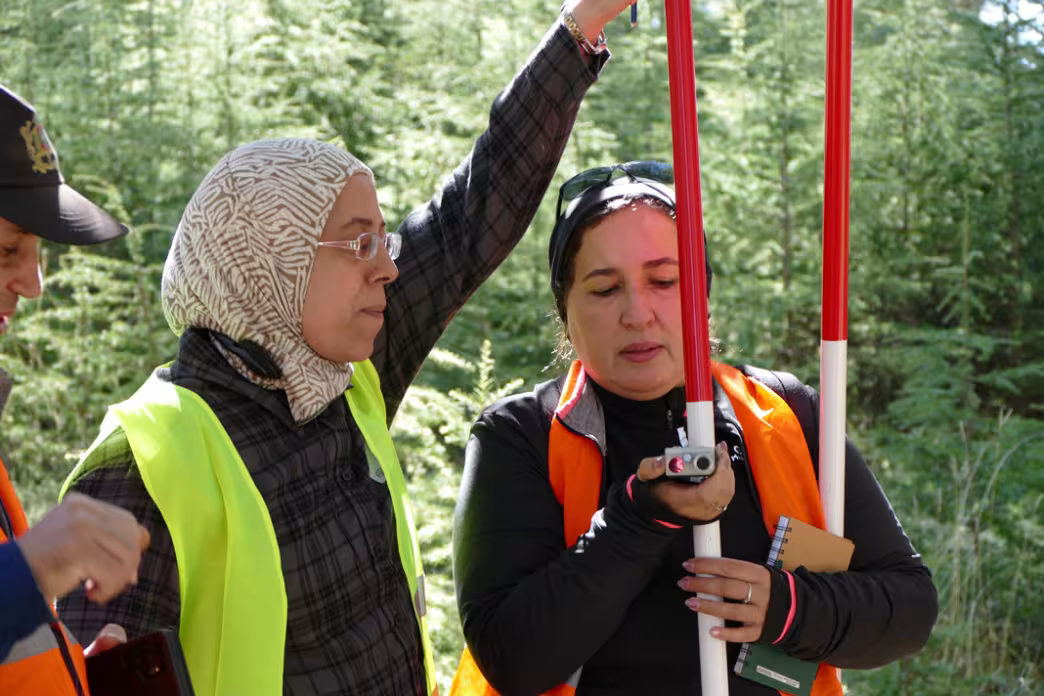 Two women in high-visibility vests reading a handheld measuring device held against a red and white ranging pole in a forest.