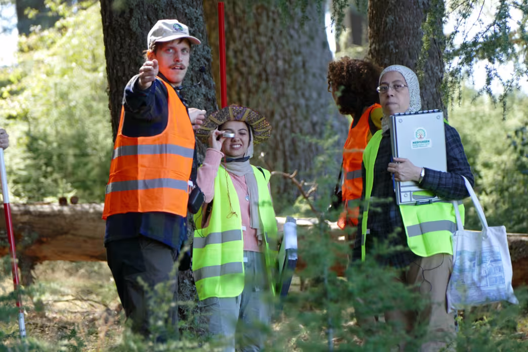 Workshop participants in high-visibility vests in a cedar forest, one looking through a handheld measuring instrument while another points towards a tree.
