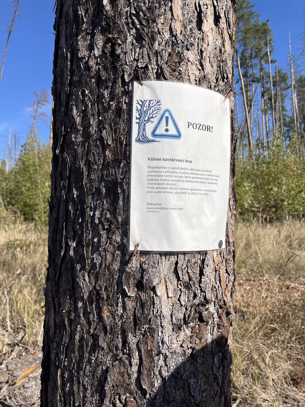  Standing deadwood is dangerous for people to walk past - a danger sign is warning visitors